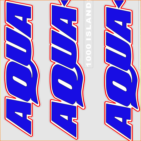 Aqua mania store rc boat