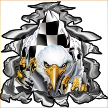 Checker Flag Decal