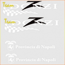 Team Donzi Decal